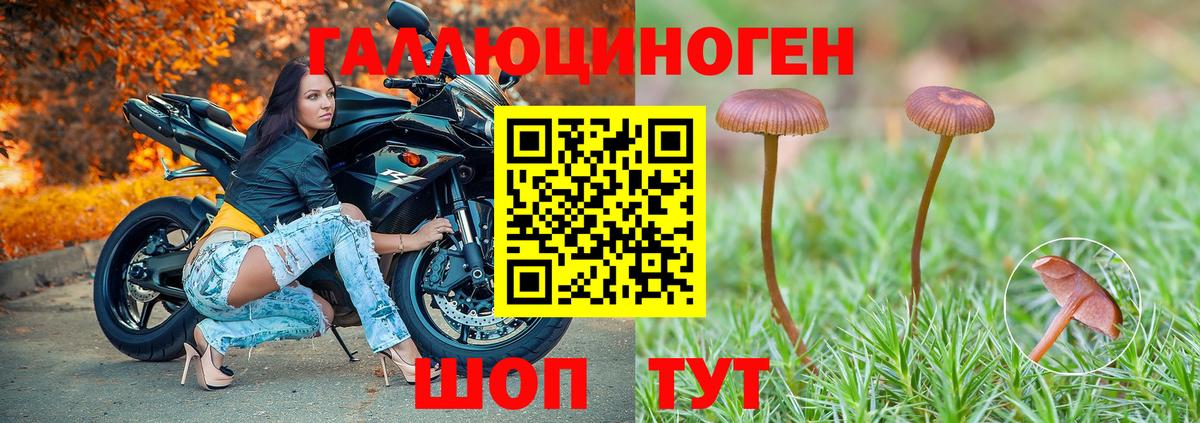 Гагарин  Псилоцибиновые грибы прущие грибы  как найти закладки  Вход с VPN 
